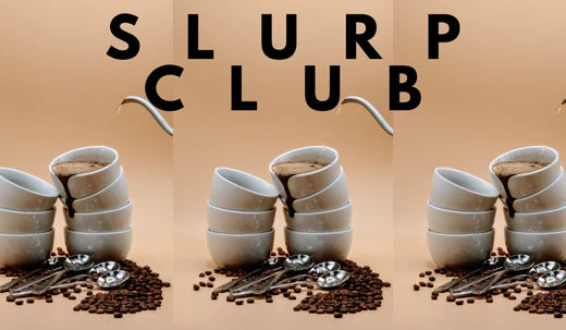 Slurp Club - Choose Our Next Coffee