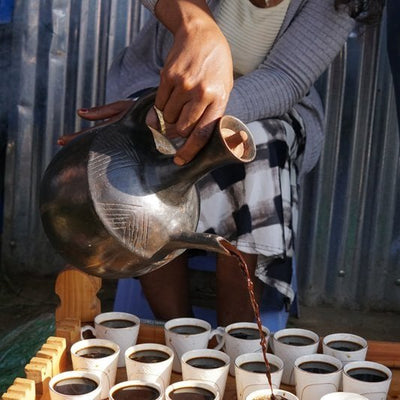 Q&A: Green Coffee Importers Kamba